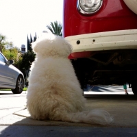 Is it that time of the year again?