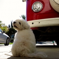 Can I come this time?