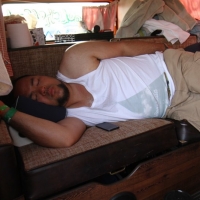 Slept through the windstorm and canopy collapse chaos