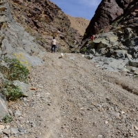 Goodbye, Goler Wash waterfallz