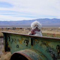 Charles Manson's Truck