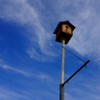 Whistling Birdhouse