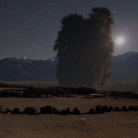 Palm Springs Double Exposure