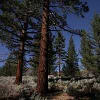 Night shots at Buckeye Campground