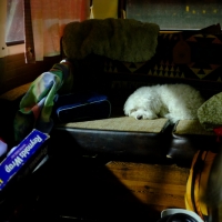 LE SIGH.  Are we there yet?