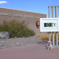 Guys.  Let's get out of here.