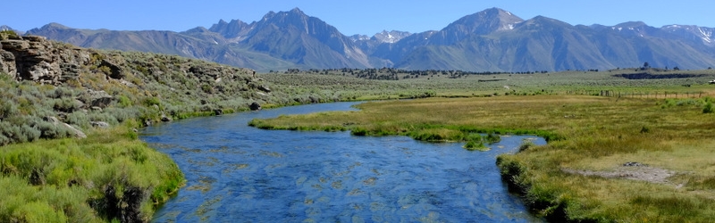 0710 JJ's Mammoth Bachelors