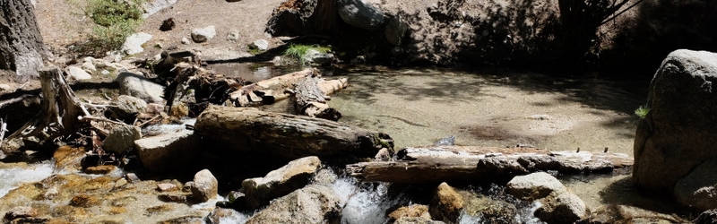 0712 JJ's Mammoth Bachelors